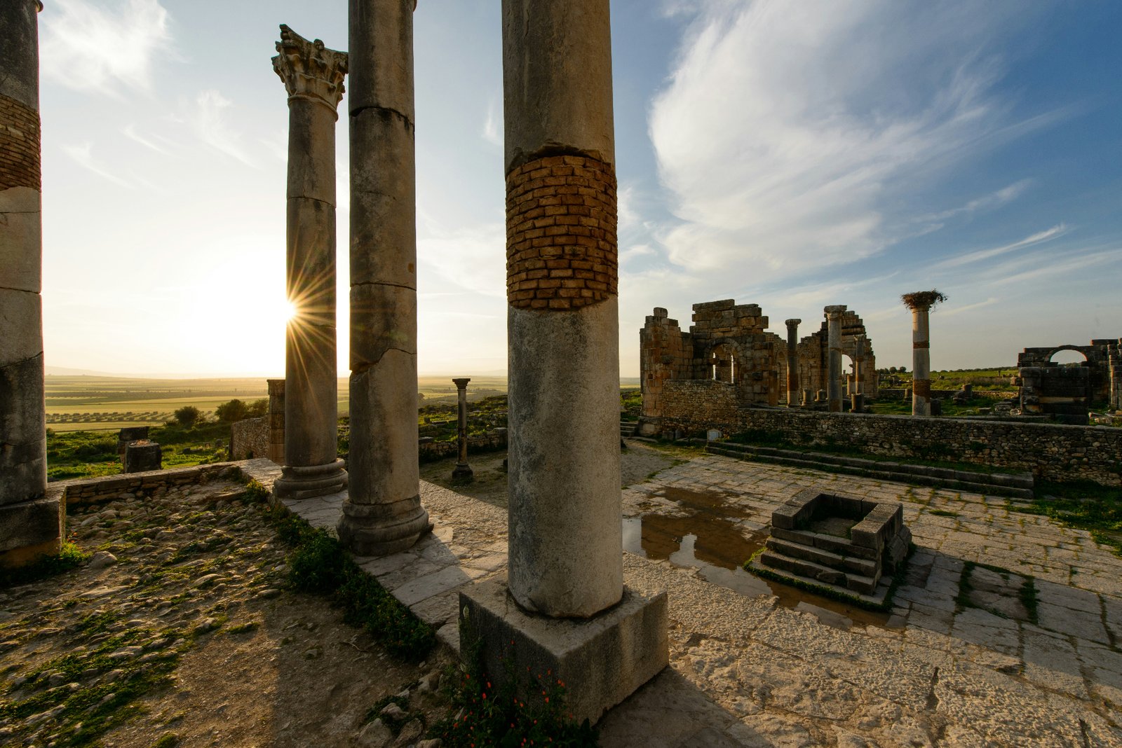 Meknes & Volubilis Day Experience